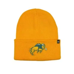 '47 BRAND 47 Brand North Dakota State Bison Brain Freeze Beanie